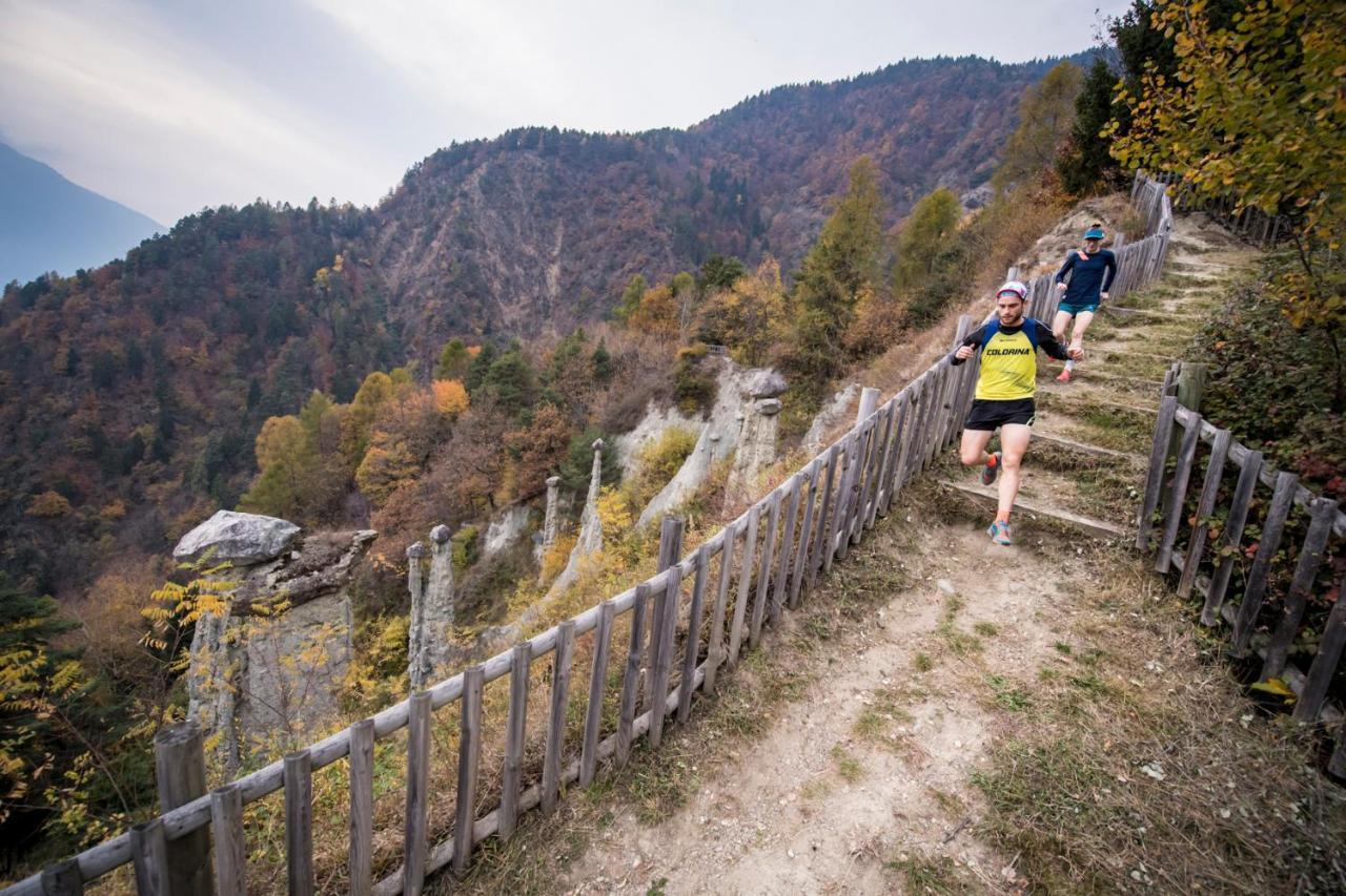 Appartamento Il Nido Tra Verde E Natura Berbenno di Valtellina Екстериор снимка