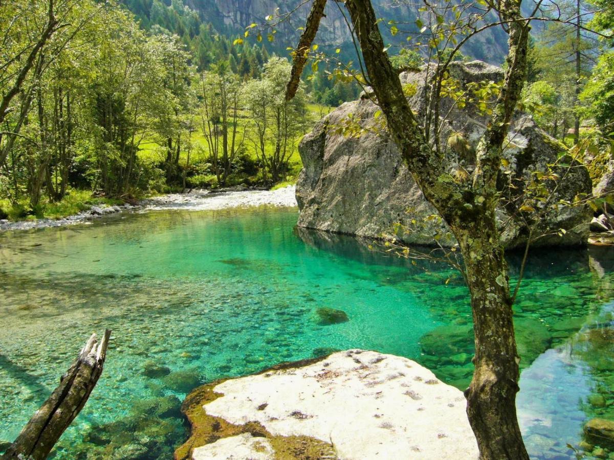 Appartamento Il Nido Tra Verde E Natura Berbenno di Valtellina Екстериор снимка