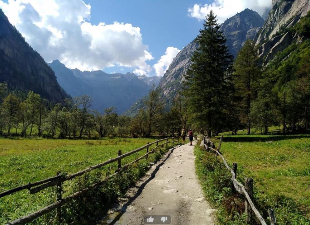 Appartamento Il Nido Tra Verde E Natura Berbenno di Valtellina Екстериор снимка
